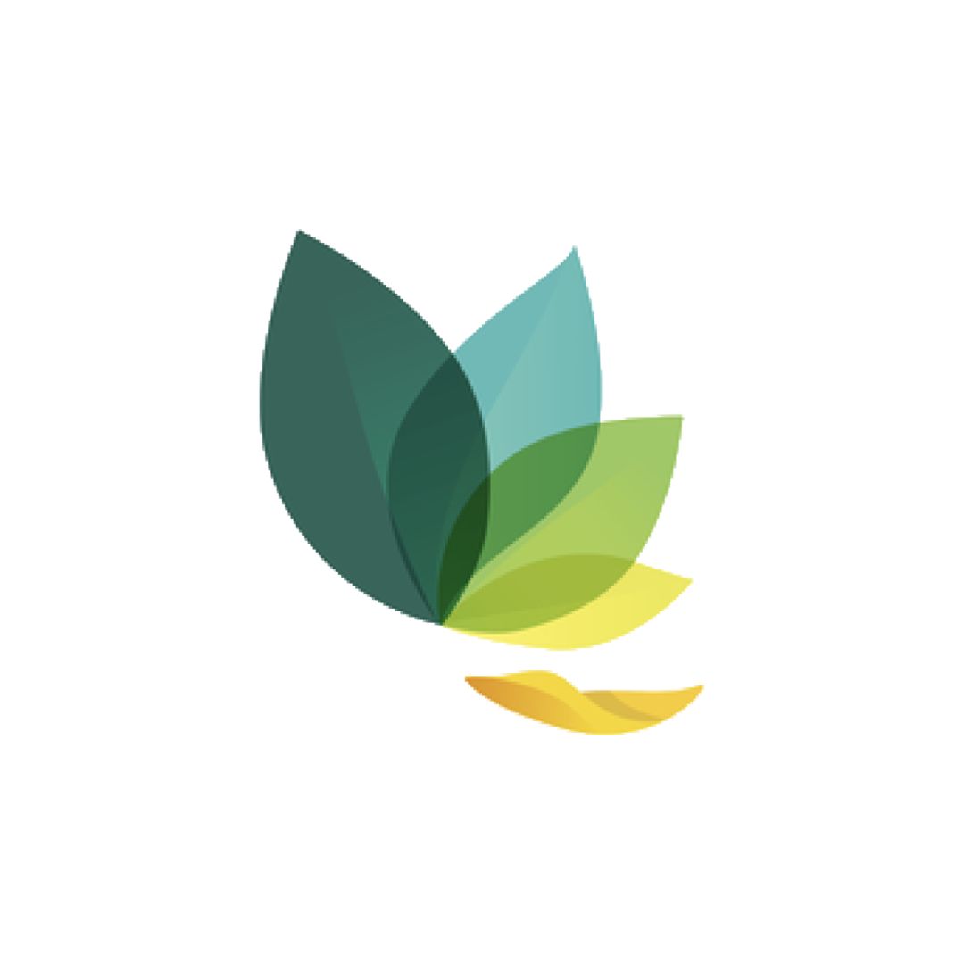 Oak Meditation & Breathing App