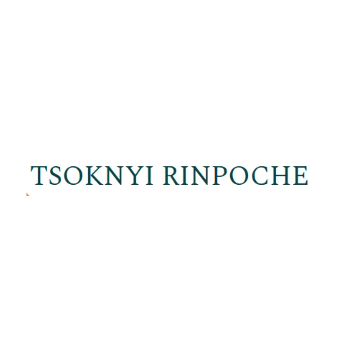 Tsoknyi Rinpoche